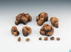 Tamashii Effect - Actionfiguren-Zubehör / Rock Beige Version: Bandai