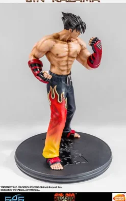 Tekken 3 - Jin Kazama Statue: First 4 Figures